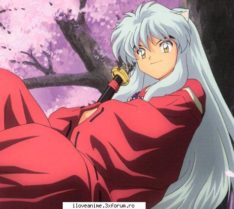 Inuyasha - InuYasha este un hanyō (jumatate-demon) - Inuyasha
