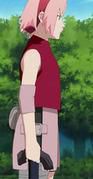 Sakura Haruno - Sakura Haruno - -Face parte din echipa a saptea - Naruto / Naruto Shippuden